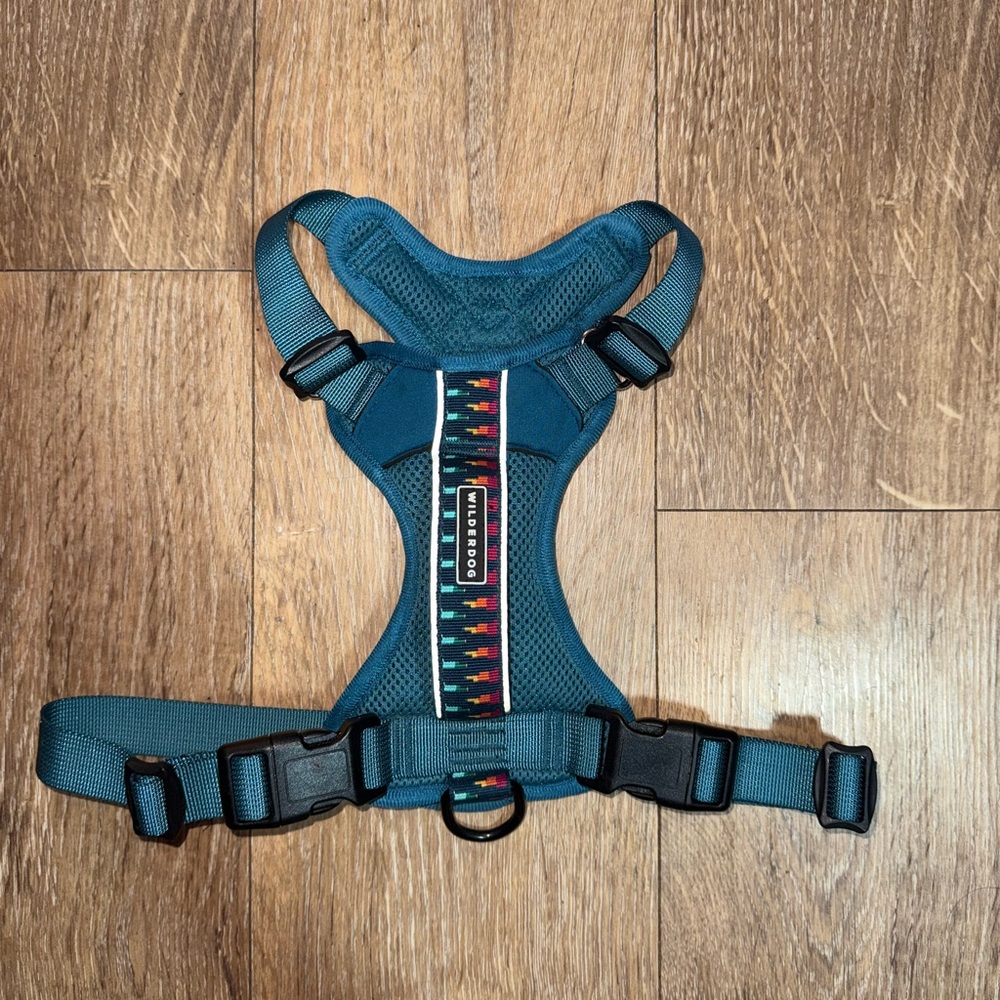Teal Dog Harness with Patterned Strap